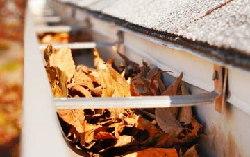 Whatfield gutter cleaning companies